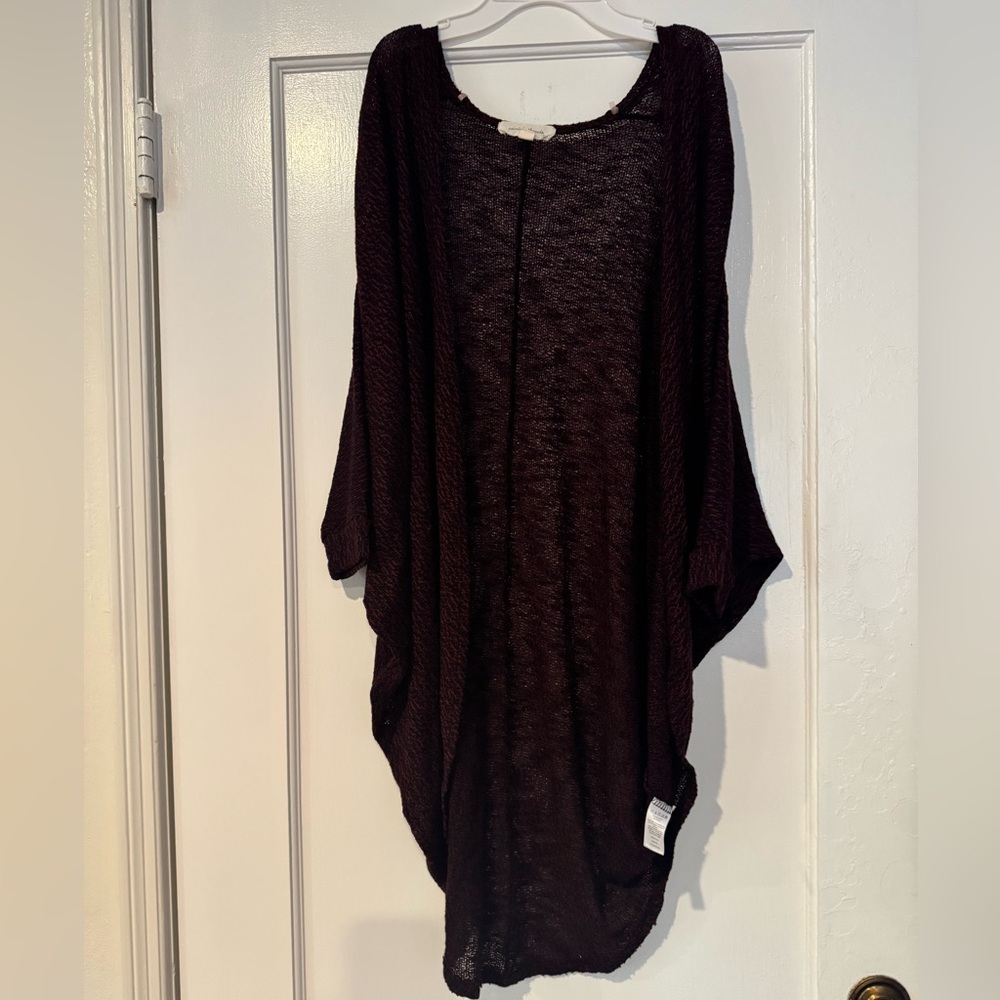 Painted Threads Burgundy and Black Knit sweater